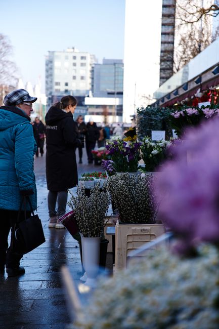 A bustling outdoor flower market scene showing customers browsing floral arrangements and bouquets displayed on tables and crates. The flowers include white, purple, and pink blossoms arranged in vase